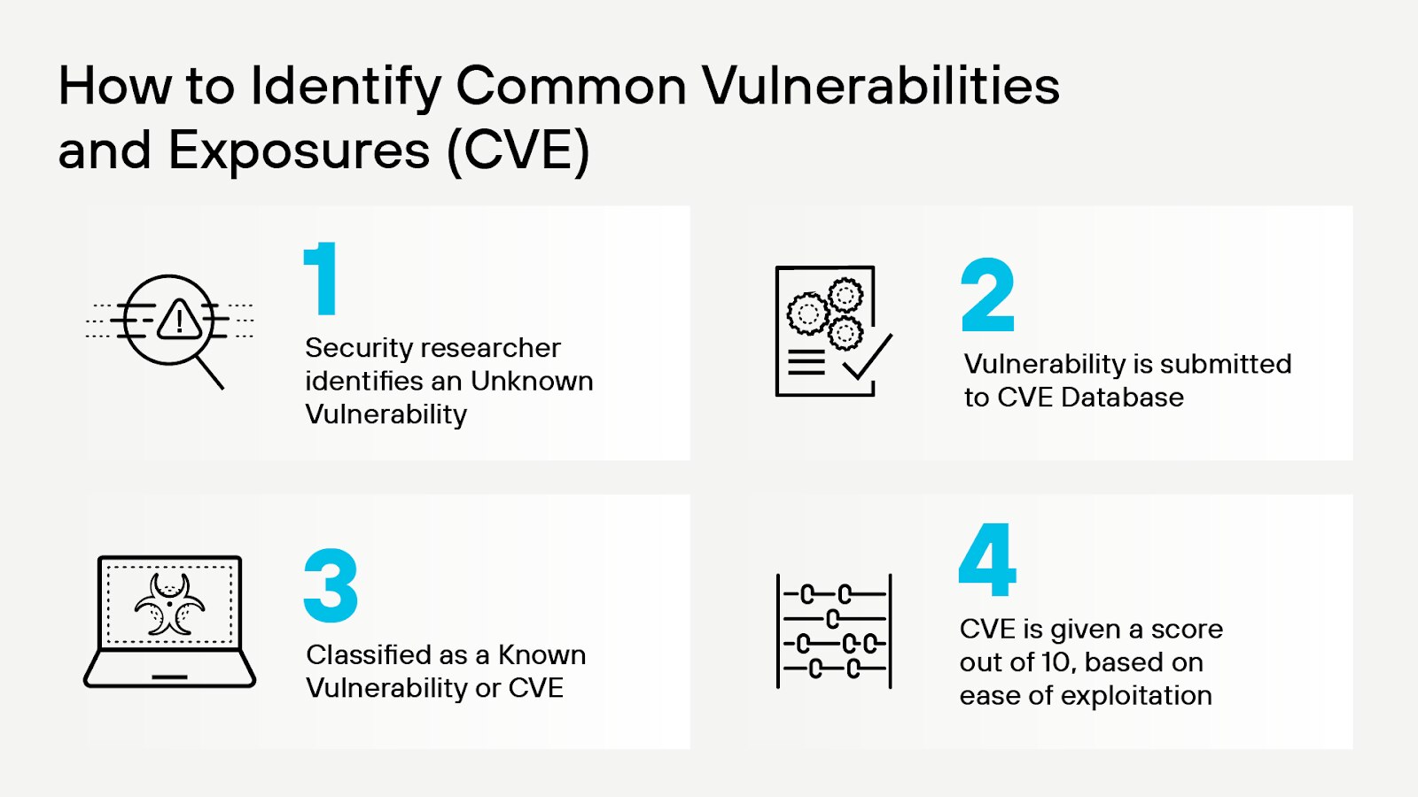 CVE 식별 프로세스